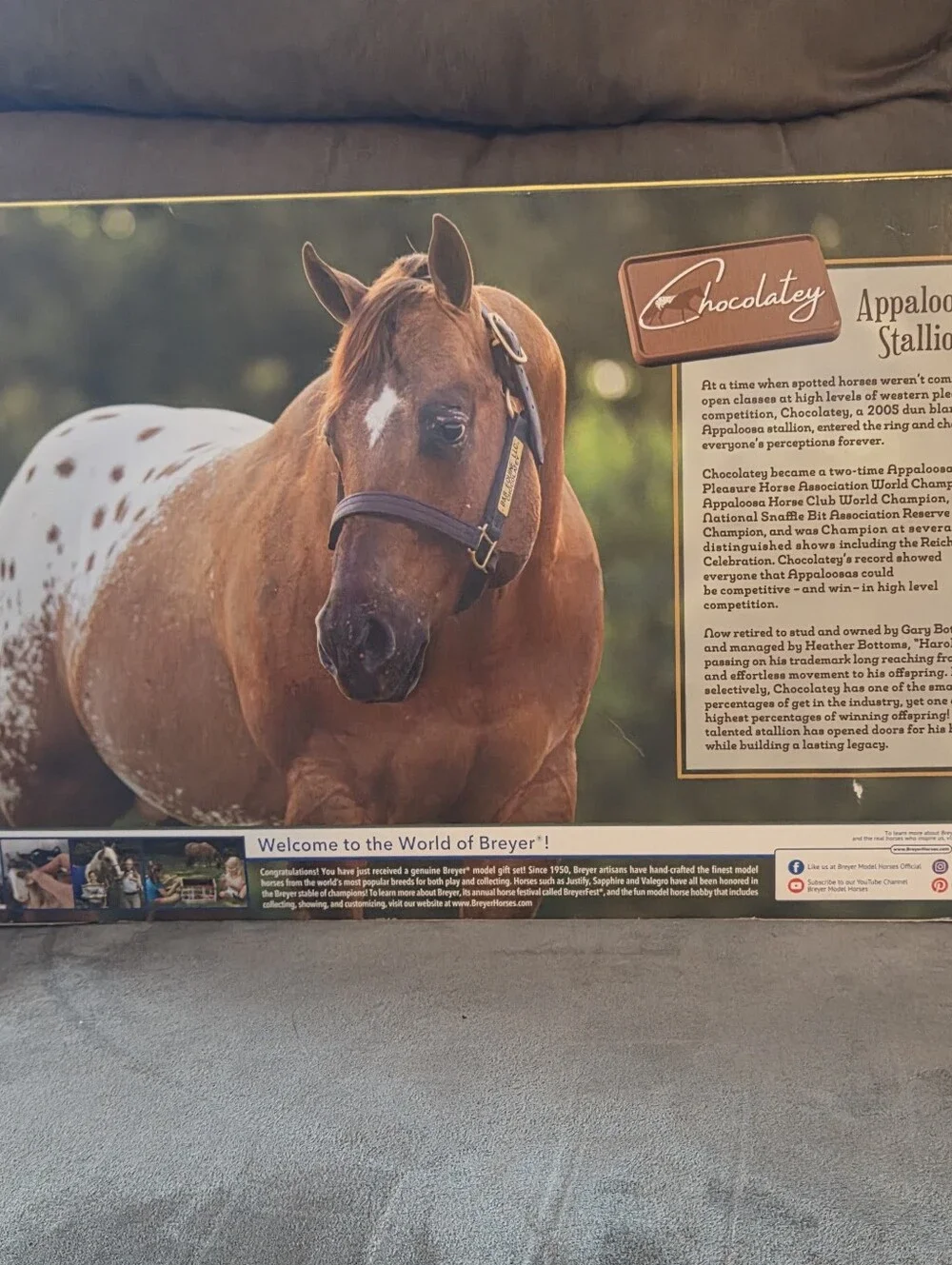 BREYER TRADITIONAL-Chocolatey Dun Blanket Appaloosa Stallion Horse-Roxy Mold-NEW